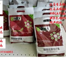 2017年微生物肥料價格走勢與批發市場分析（第5頁）——復合微生物肥料的價值與選購指南